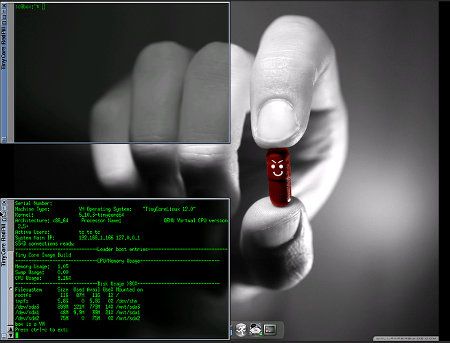 Рабочий стол TinyCore Linux