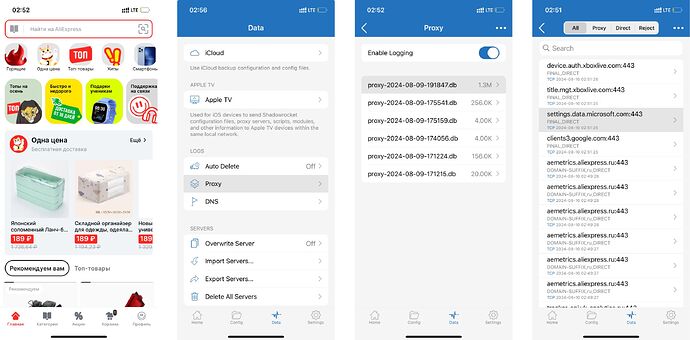 Shadowrocket просмотр логов