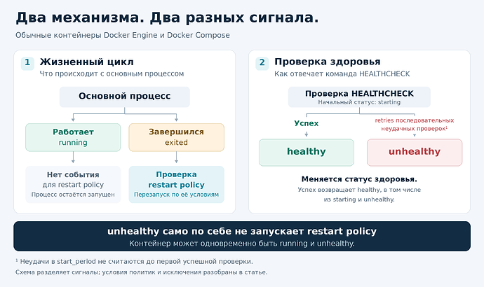 Жизненный цикл и проверка здоровья контейнера