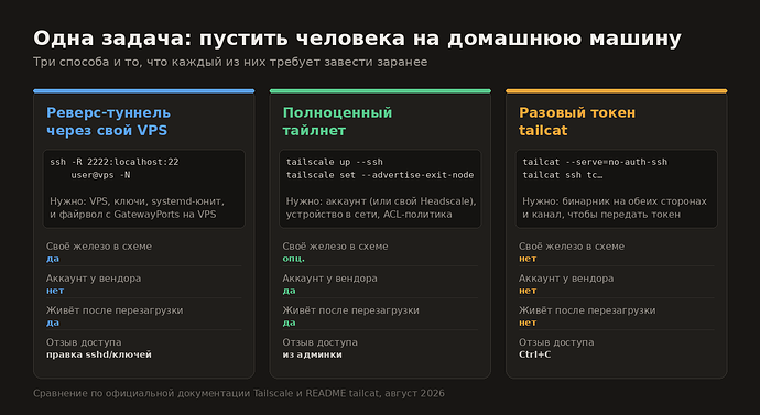 Одна задача — три подхода: реверс-туннель, тайлнет, tailcat