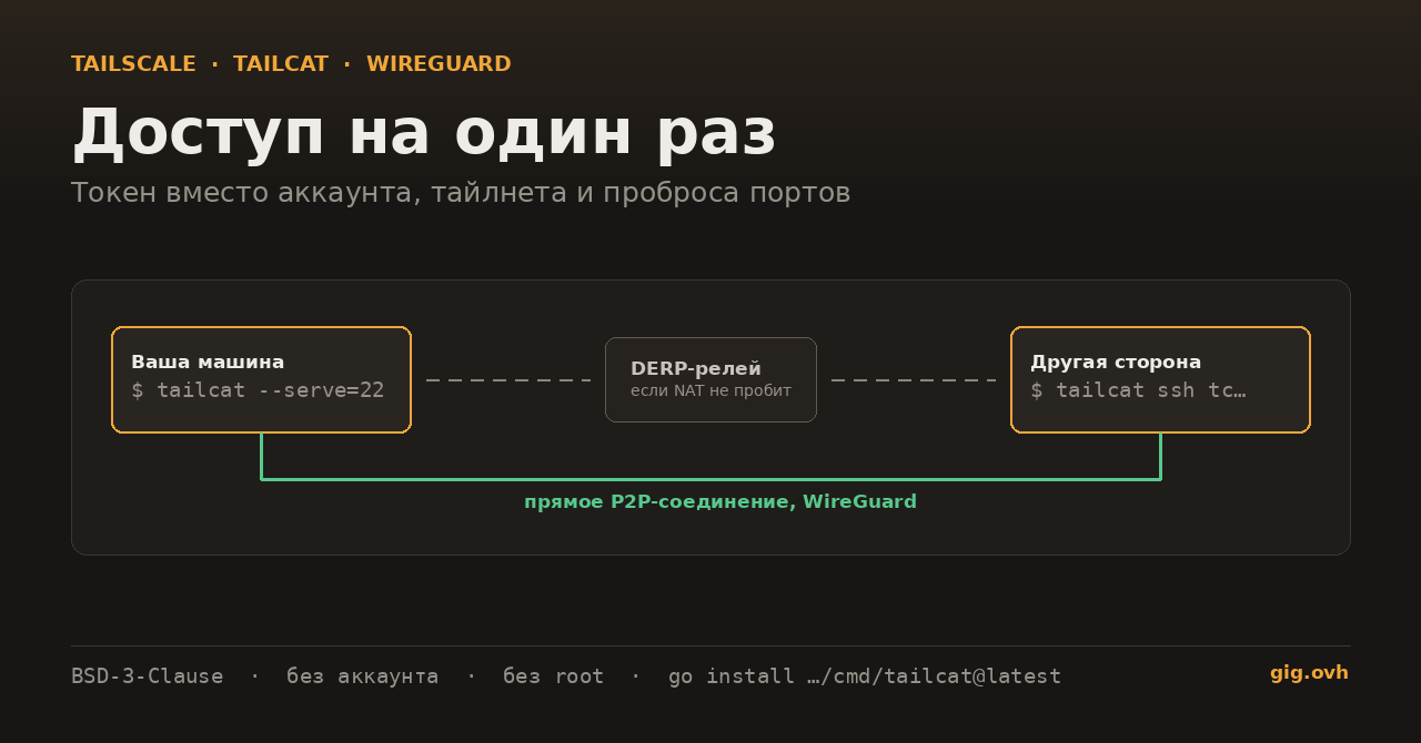 tailcat: доступ на один раз