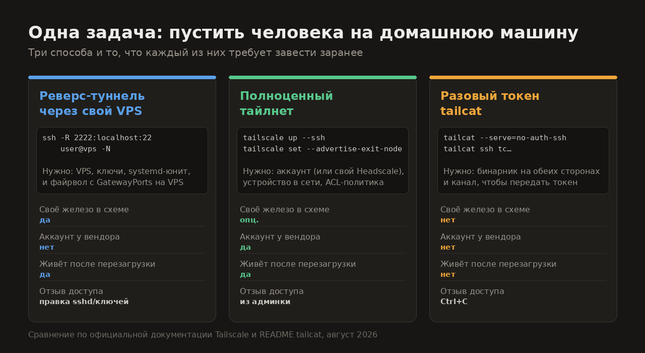Одна задача — три подхода: реверс-туннель, тайлнет, tailcat