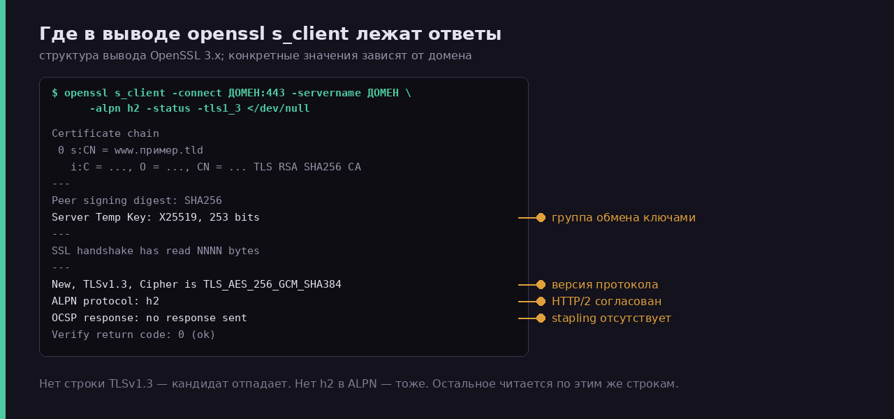 Разметка вывода openssl s_client